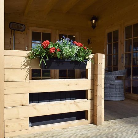 Pinewood Cabin Saline Ngoại thất bức ảnh